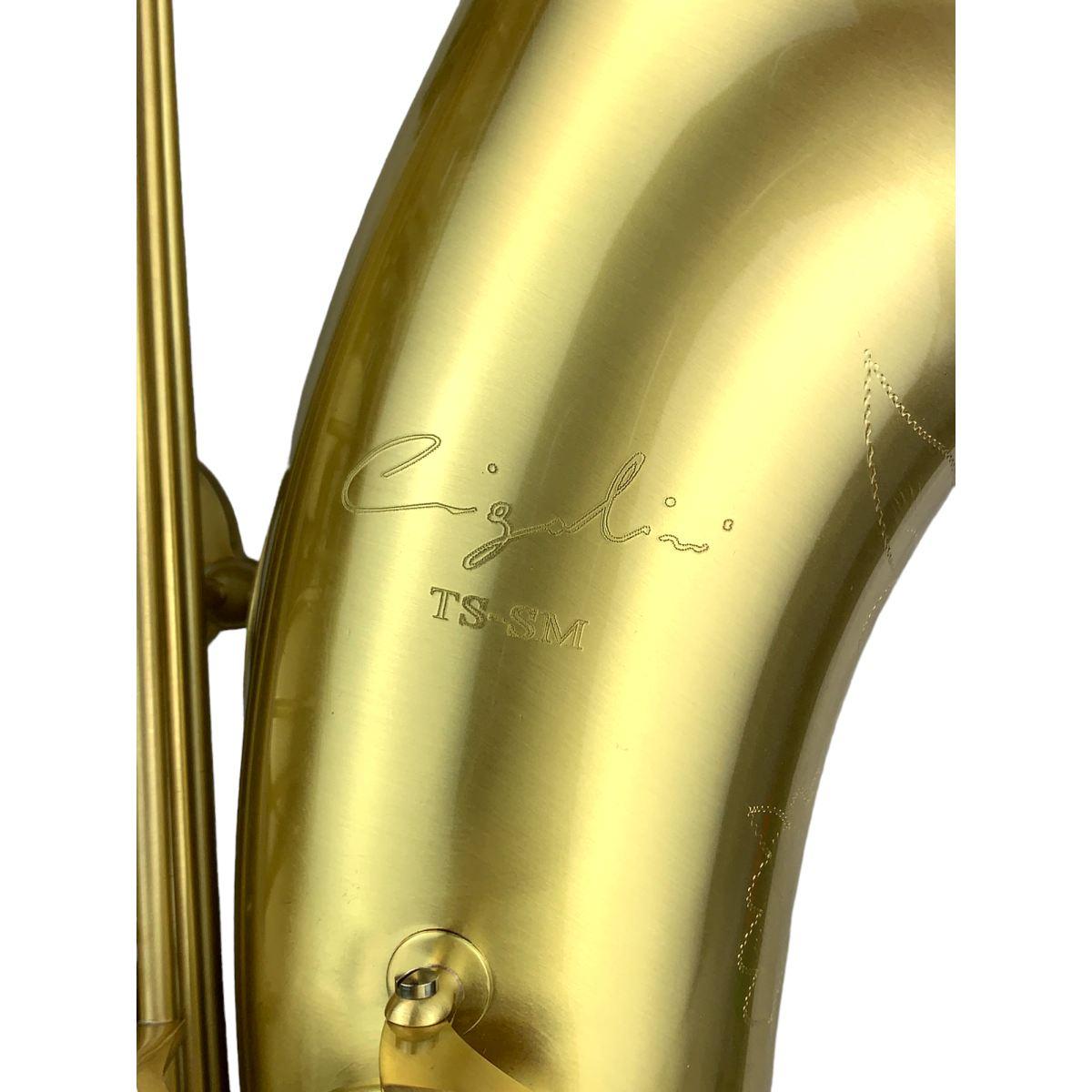 Cigalini sax tenore smart brusched