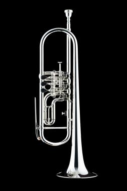 SCHAGERL "SALZBURG" INTERCONTIENTAL in Sib Goldbrass Bell, tromba Silver Plated