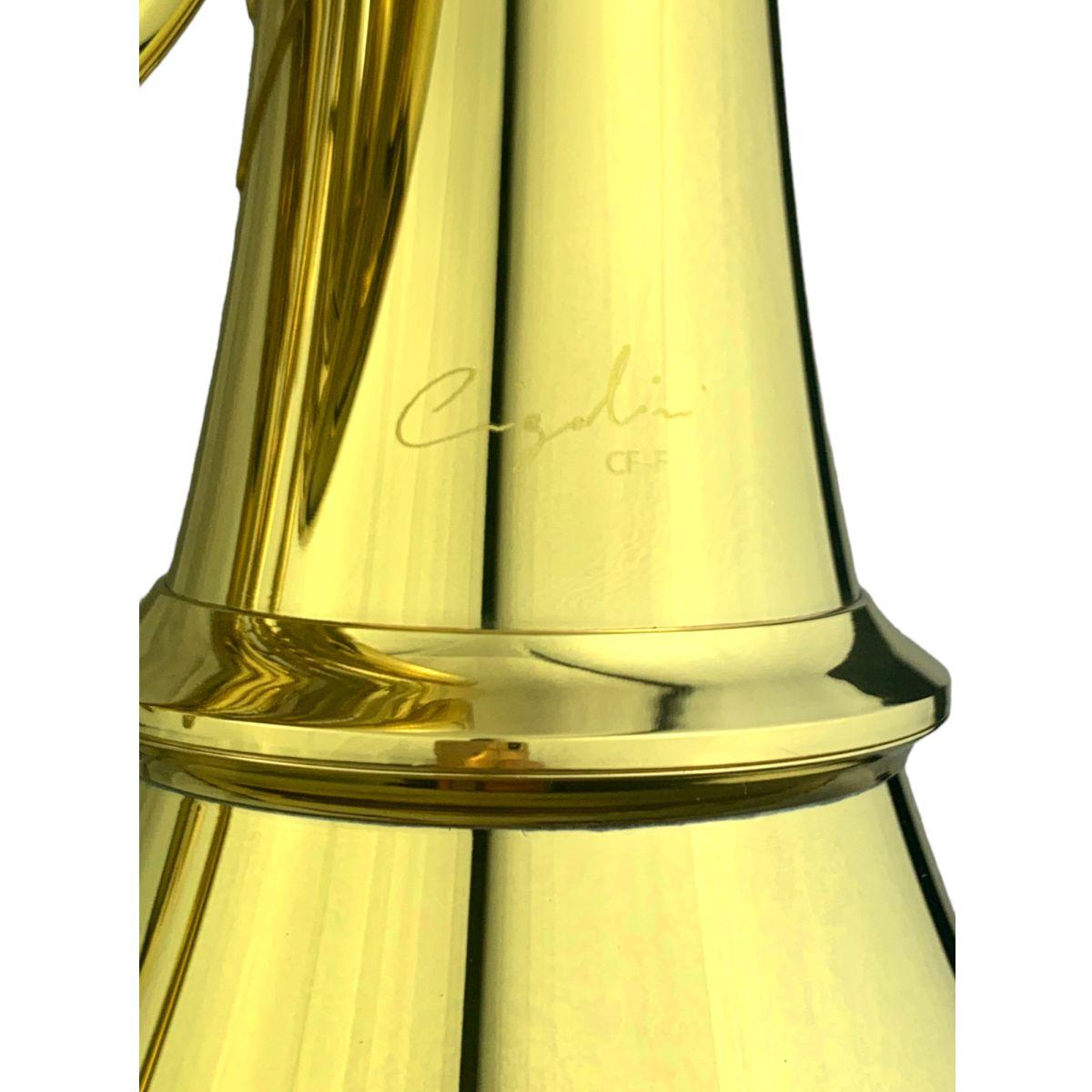 Cigalini cf-f corno in fa con custodia