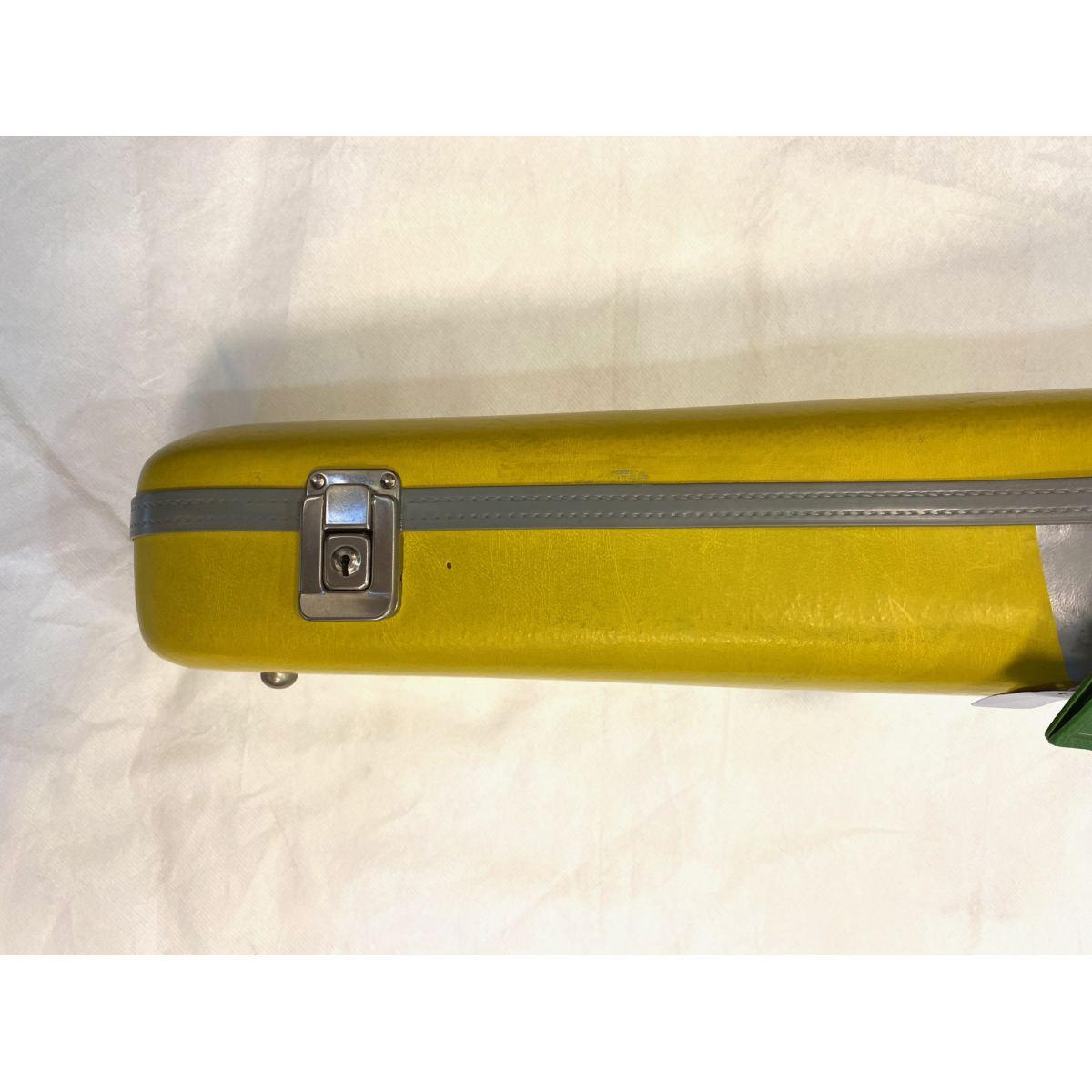 Gewa custodia violino 3/4 colorata - b-stock