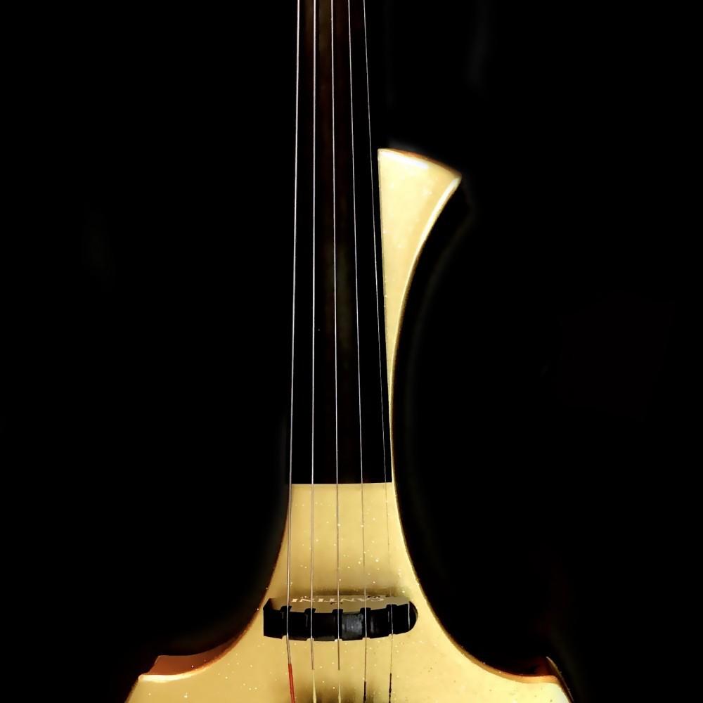 Violino elettrico Cantini Earphonic 5 corde Custom Gold Signature