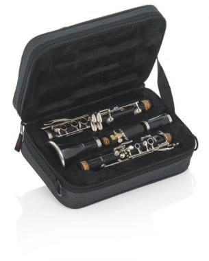 GATOR CASES GL-CLARINET-A - astuccio light per clarinetto