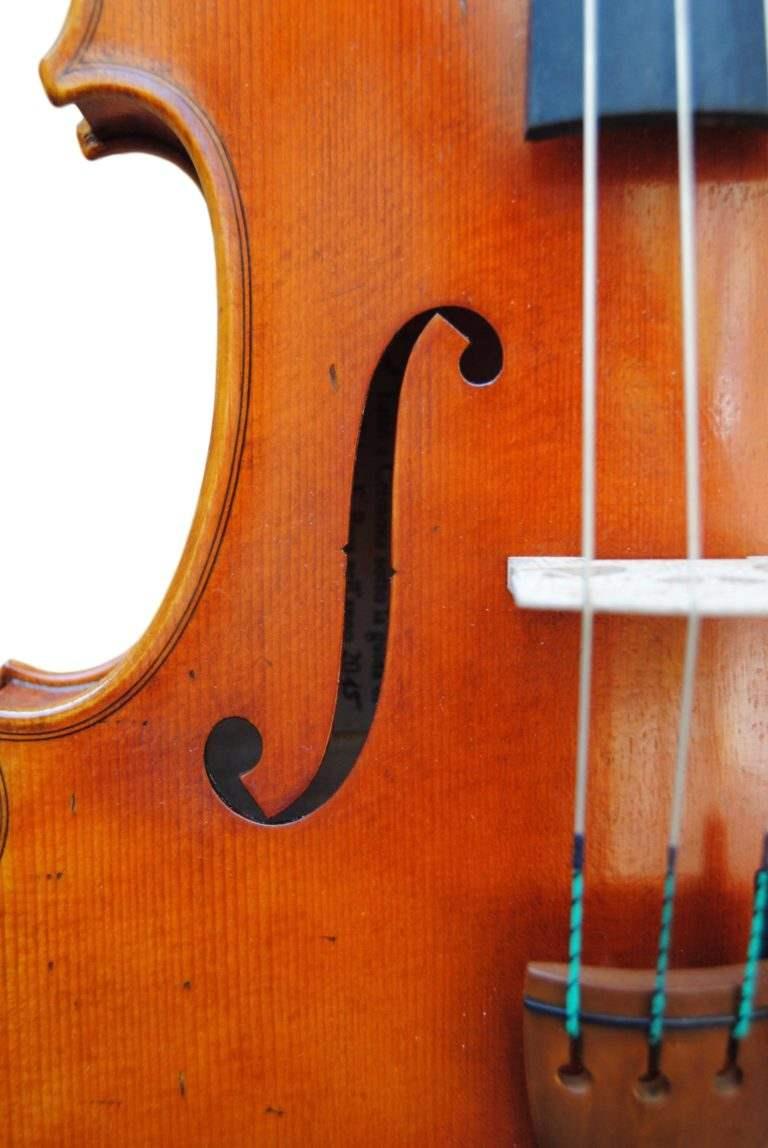 Edgar russ viola linea macchi