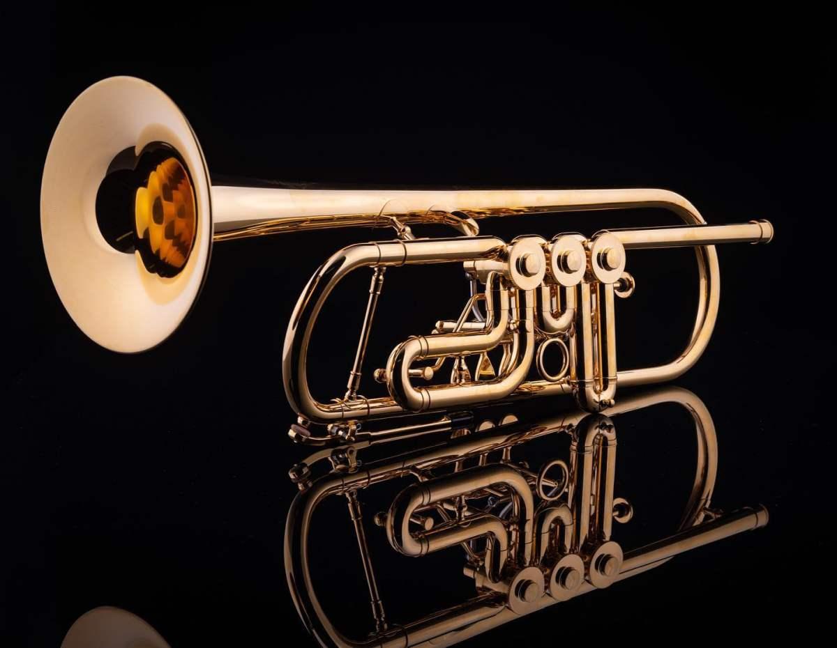 SCHAGERL HANS GANSCH HEAVY MEISTER tromba in sib - raw