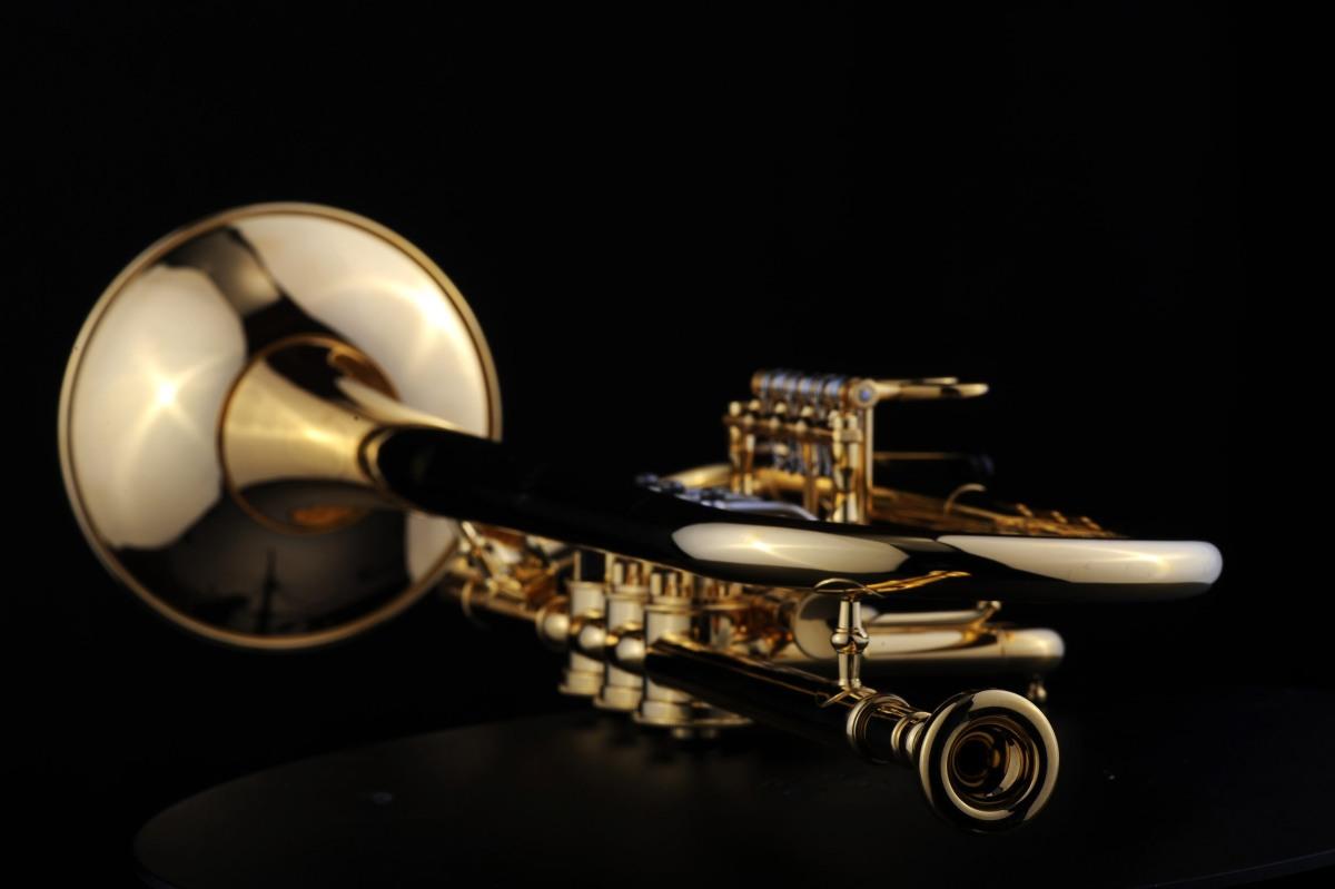 SCHAGERL HANS GANSCH HEAVY MEISTER tromba in sib - raw