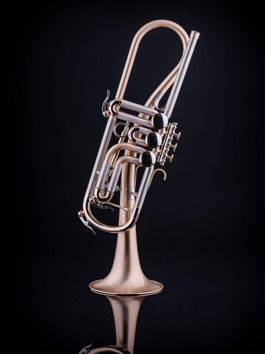 SCHAGERL Gansch Horn Goldbrass Light ML MEISTER SILVER