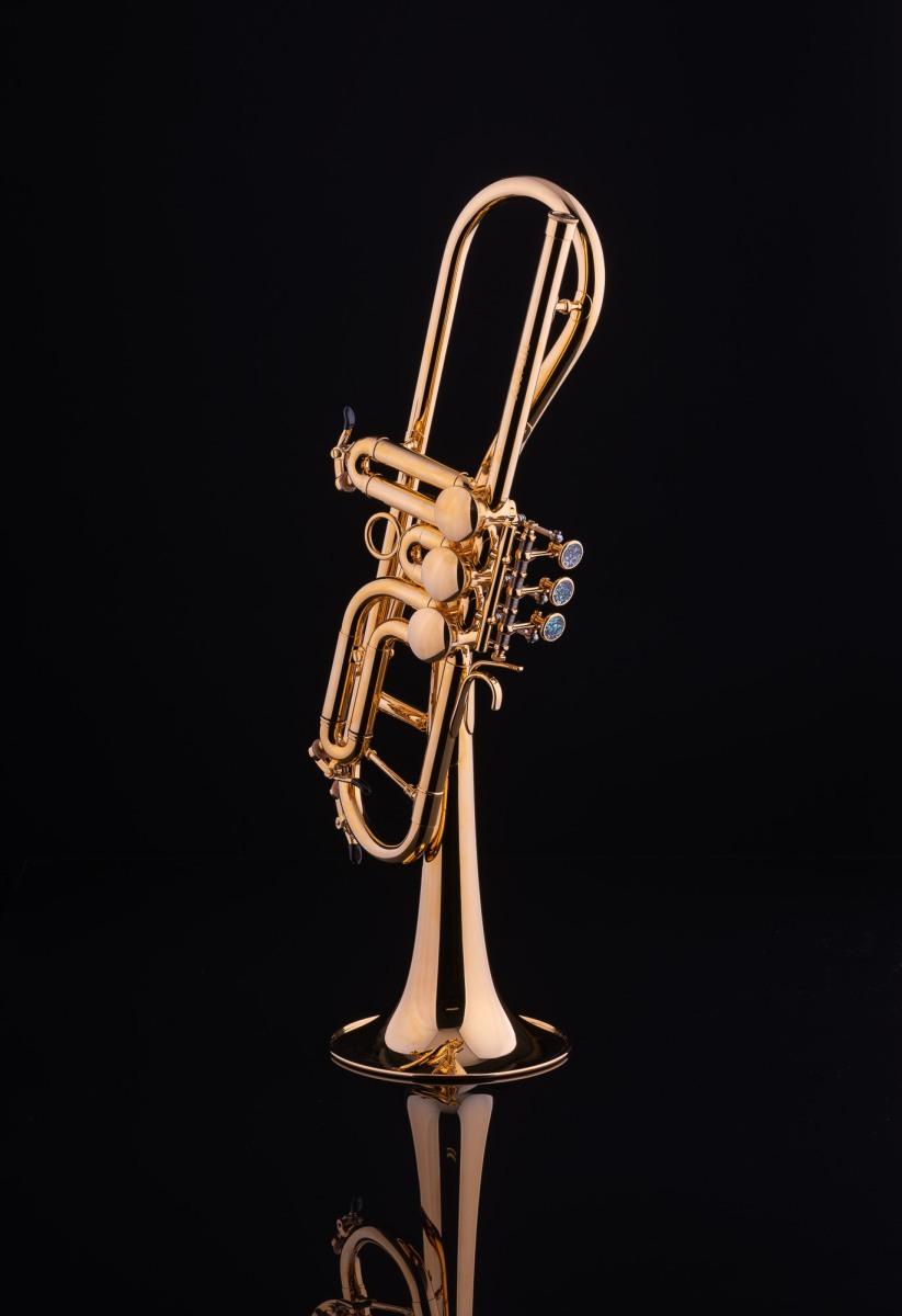 SCHAGERL Gansch Horn Goldbrass Light ML MEISTER SILVER