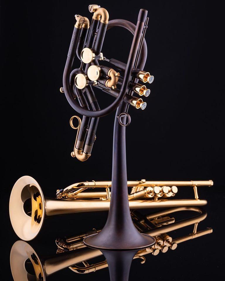 SCHAGERL RAWENI Custom Horns MEISTER Tromba sib raw