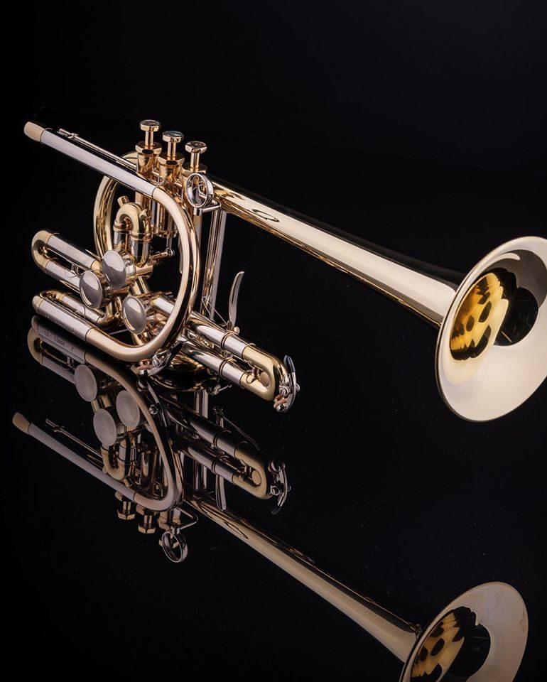 SCHAGERL RAWENI Custom Horns MEISTER Tromba sib raw