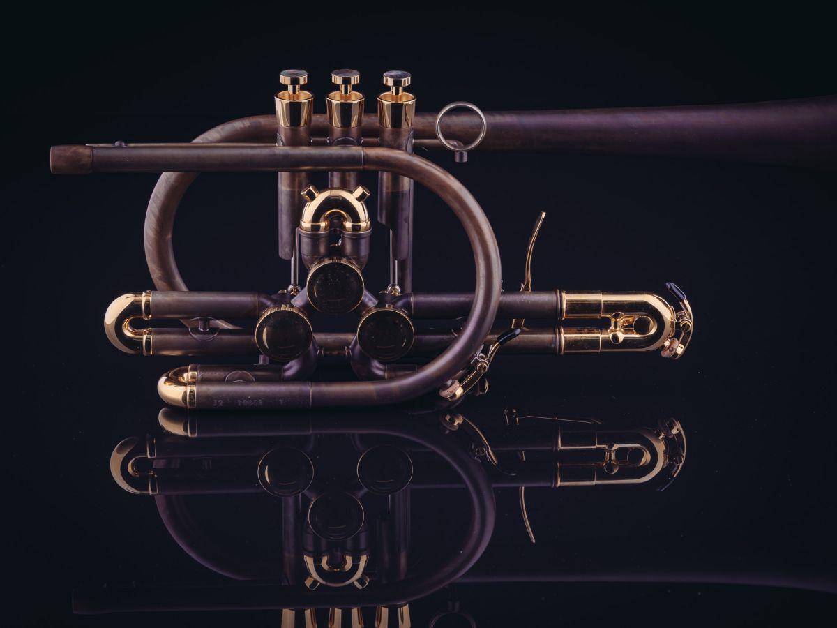 SCHAGERL RAWENI Custom Horns MEISTER Tromba sib raw