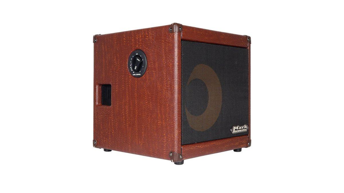 Dv mark ac101h combo per chitarra