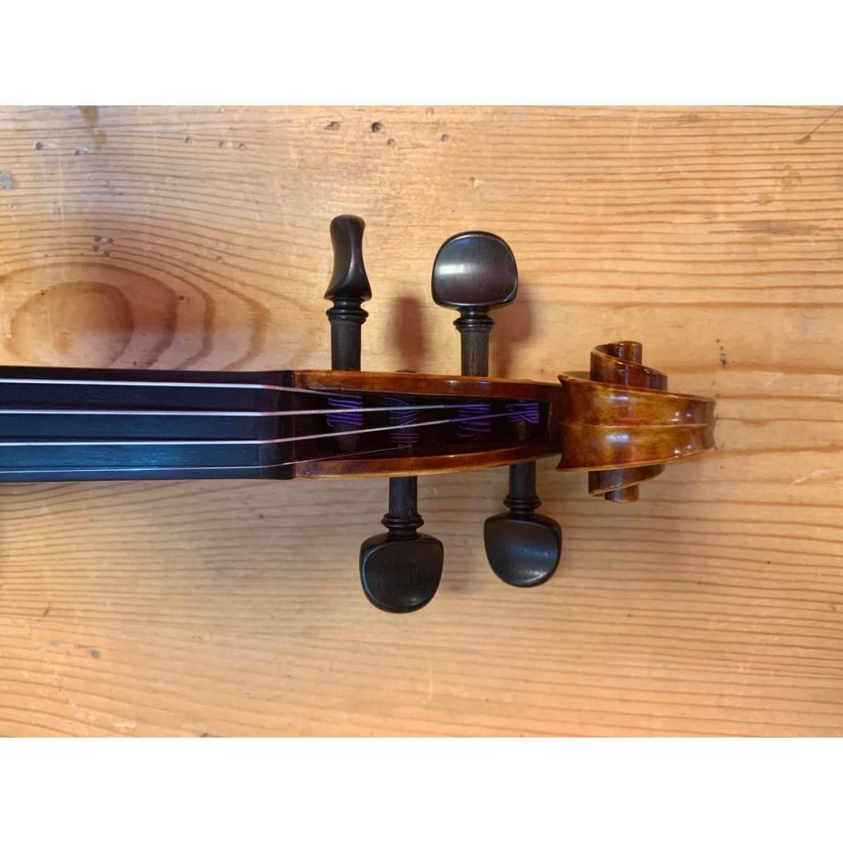 Gewa Maestro 5 Violino 4/4