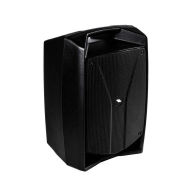 PROEL V10 WAVE CASSA ATTIVA 10"