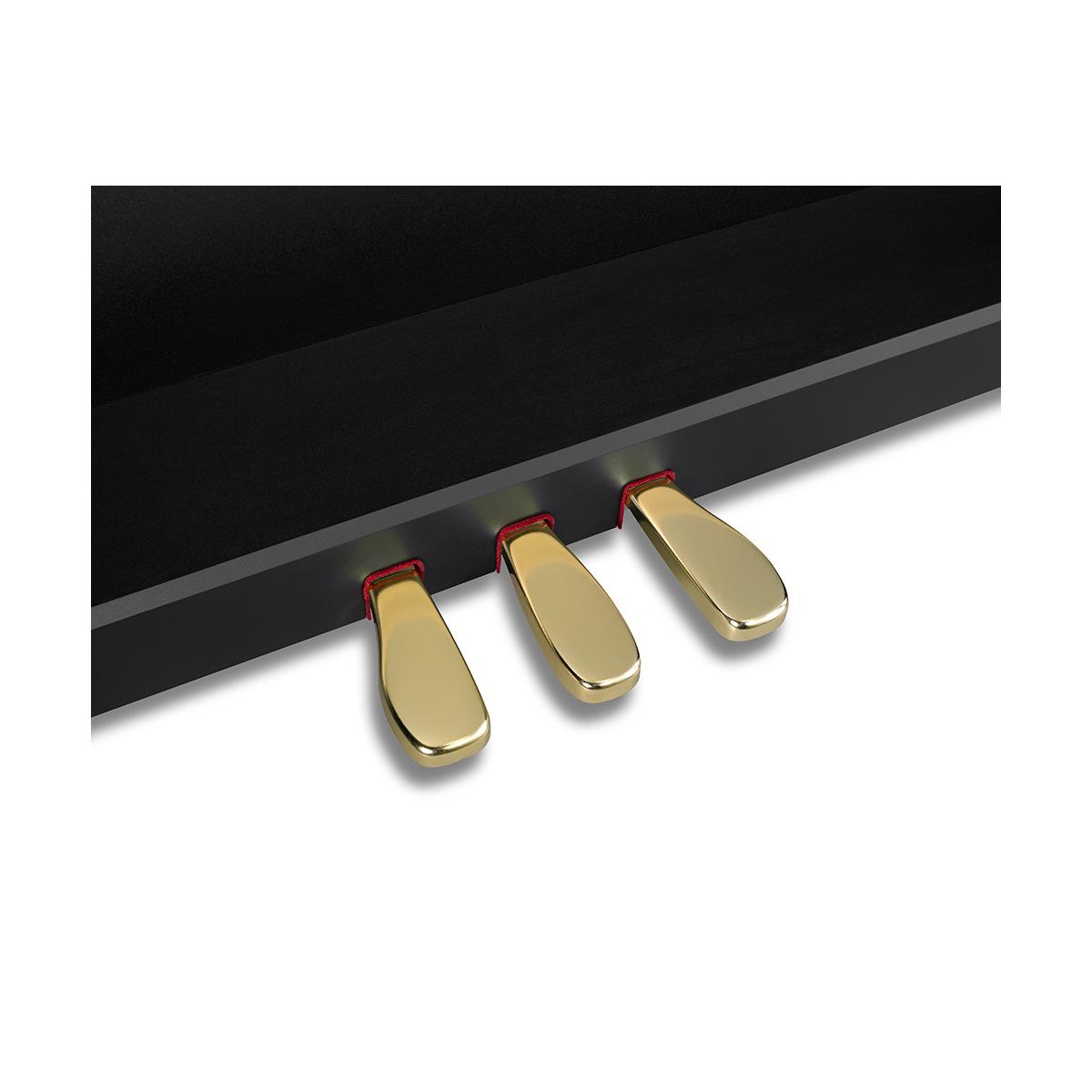 CASIO CELVIANO Grand Hybrid GP-310BK