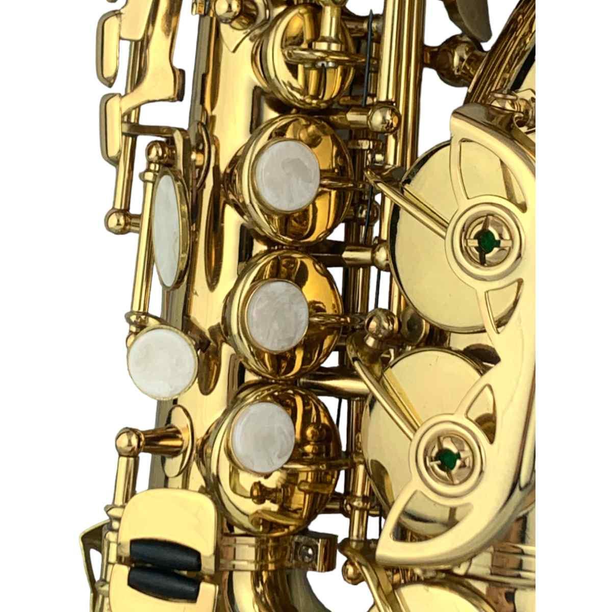 Cigalini sax soprano curvo serie studio laccato