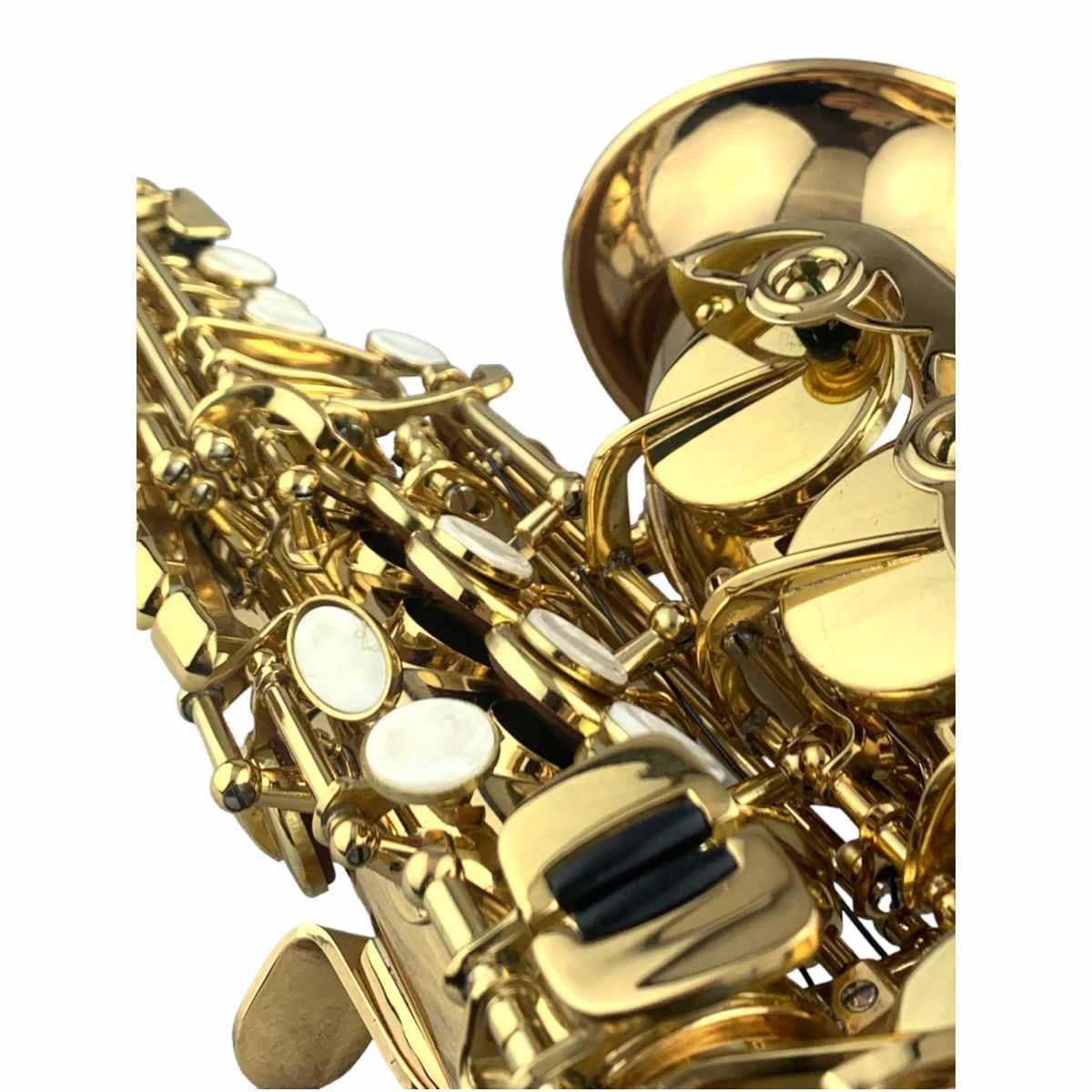 Cigalini sax soprano curvo serie studio laccato