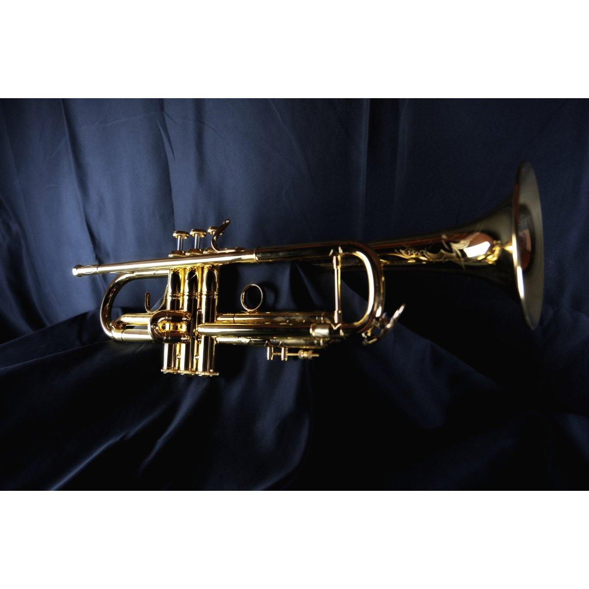 Bbrass bolden reverse tromba sib gold plated