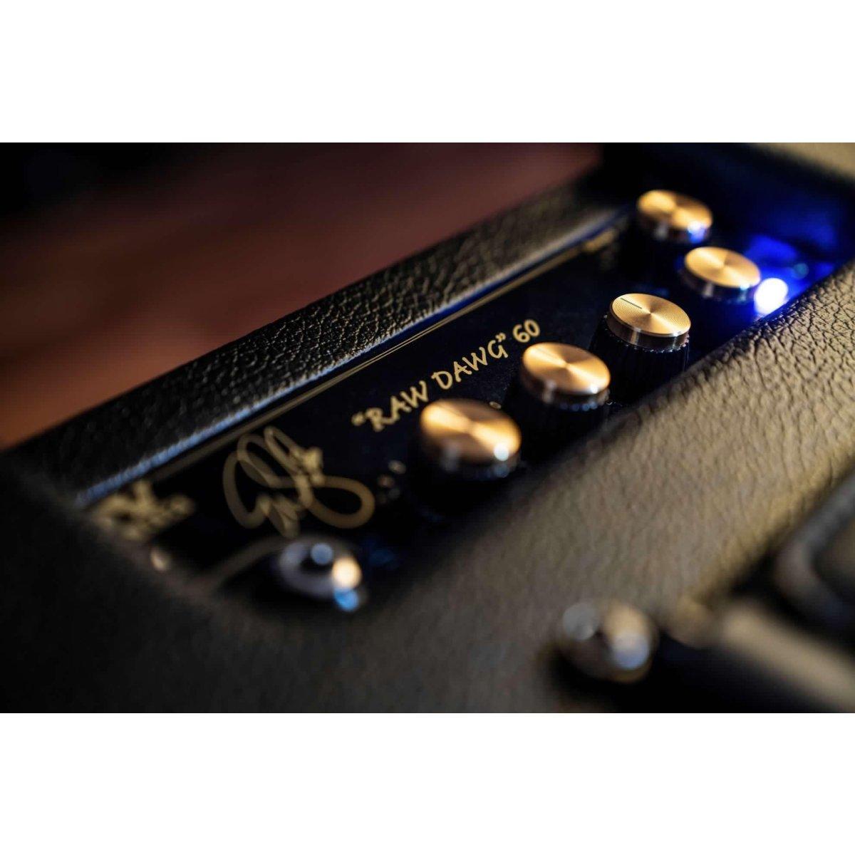 Dv mark raw dawg 60 amplificatore combo per chitarra