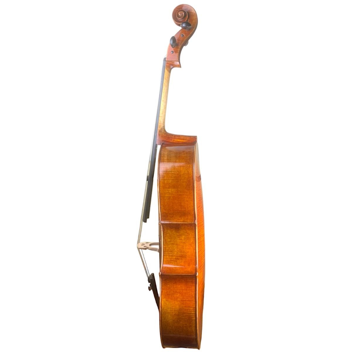 Master luthiers orchestra violoncello 4/4 liuteria