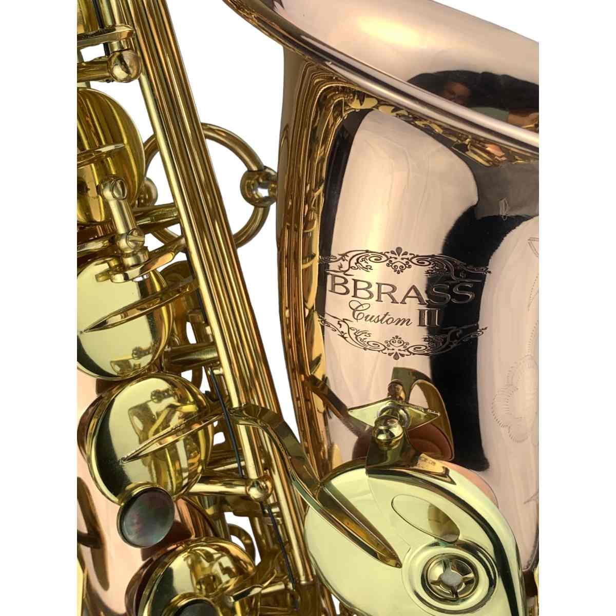 BBRASS CUSTOM II SAX ALTO Fosforo/bronzo raw