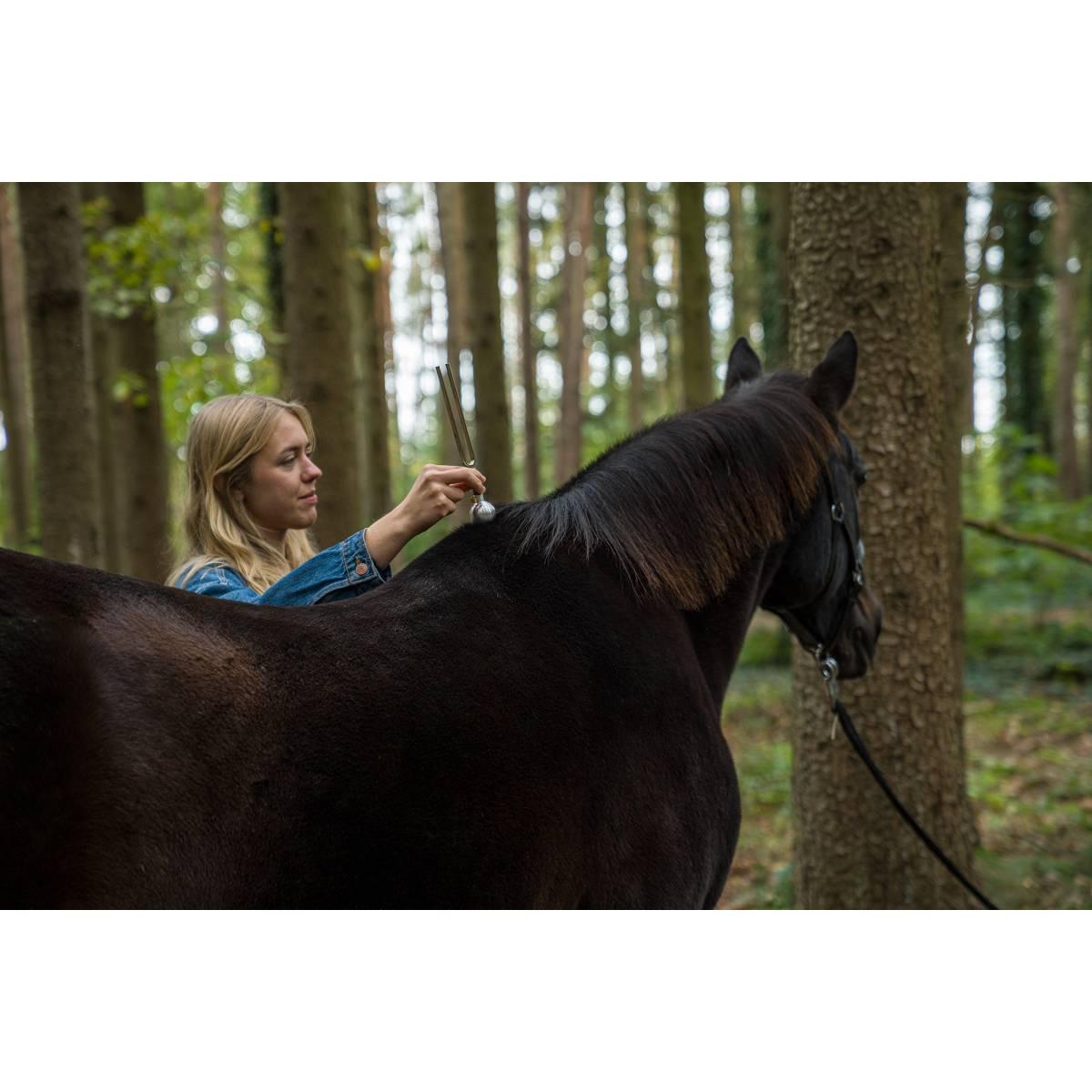 SONIC ENERGY VF-RL Piede vibrante per diapason rotondo grande 98 gr argento