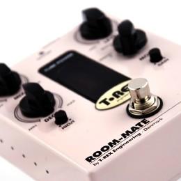 Room-mate tube driven reverb