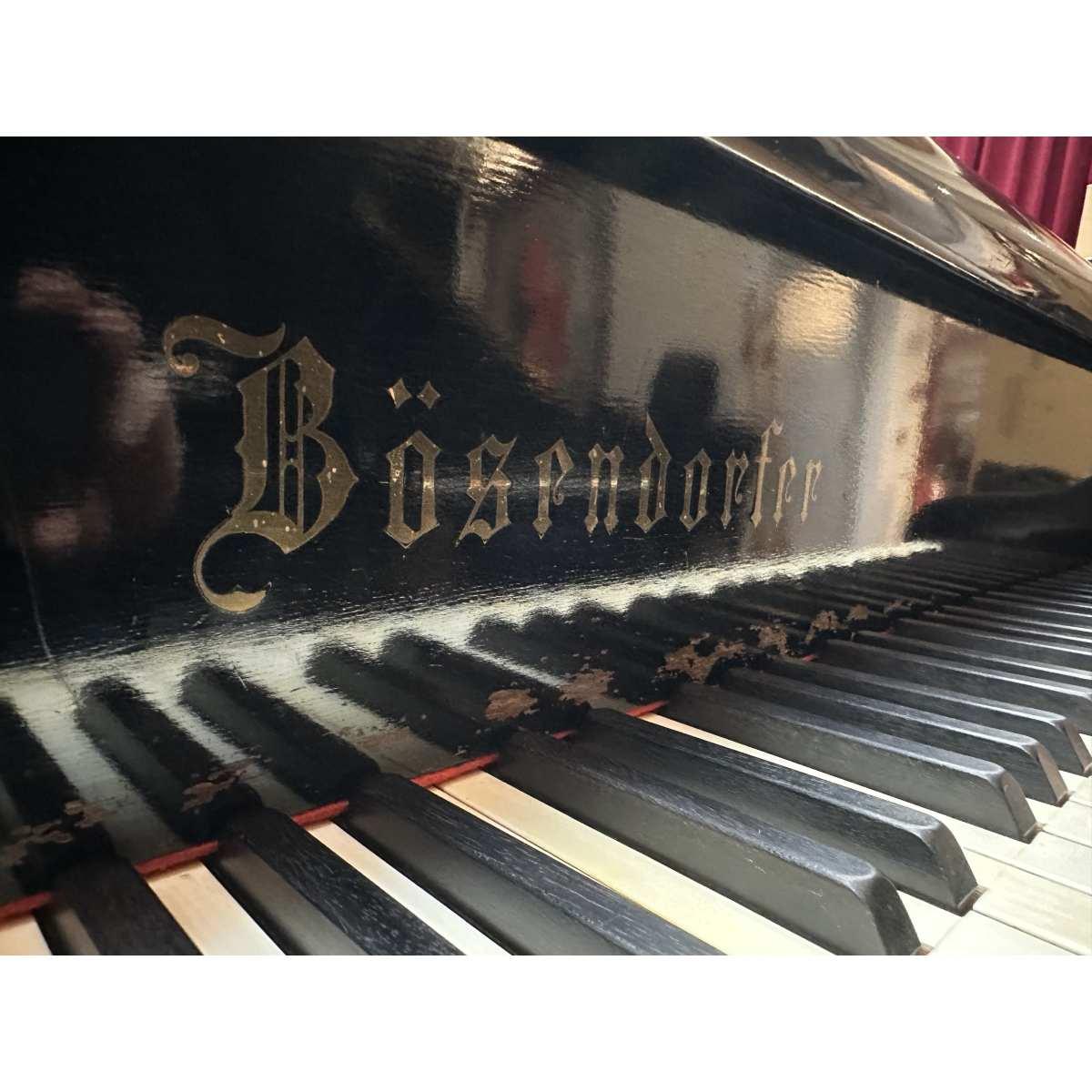 Bosendorfer pianoforte a coda sn 25580 usato garantito