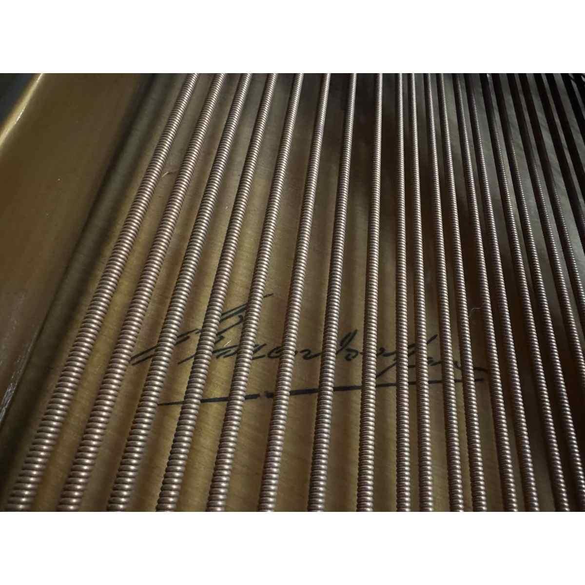 Bosendorfer pianoforte a coda sn 25580 usato garantito