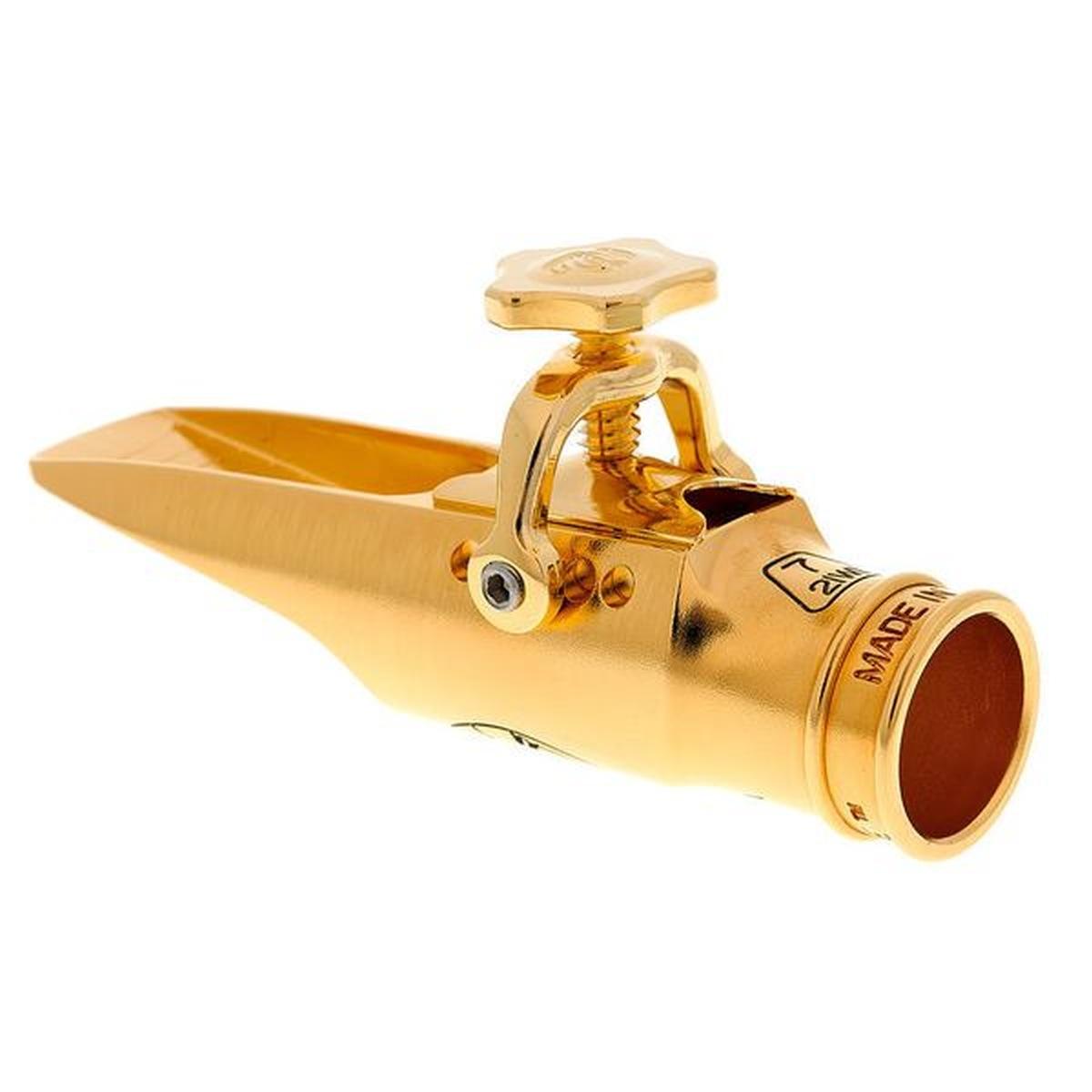 Theo wanne gaia iv bocchino per sax alto 7 gold