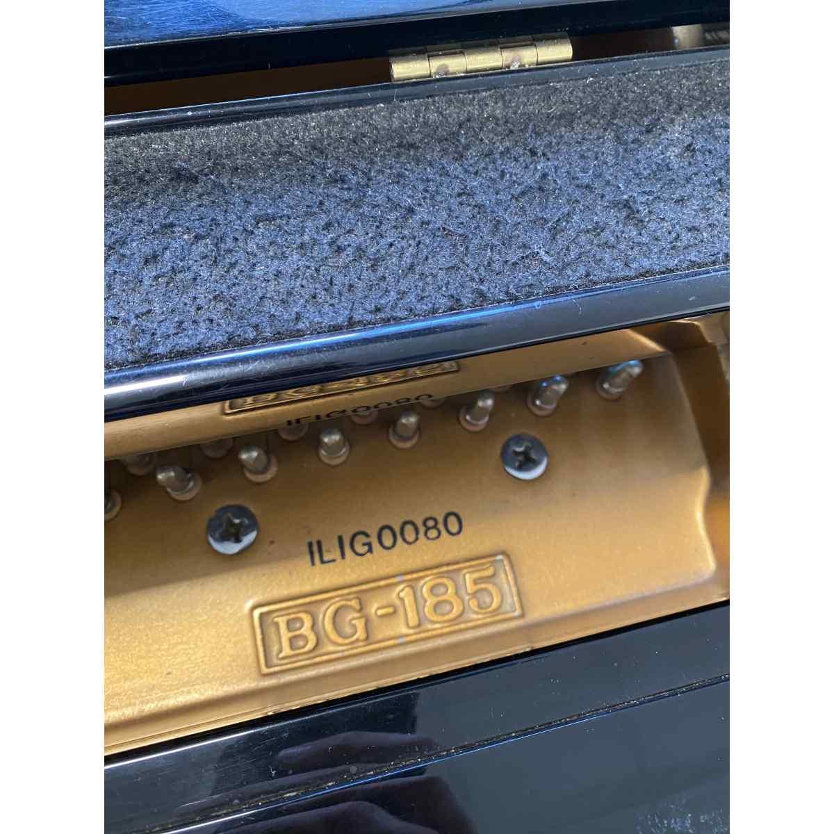 Steiner bg185 mezza coda nero lucido