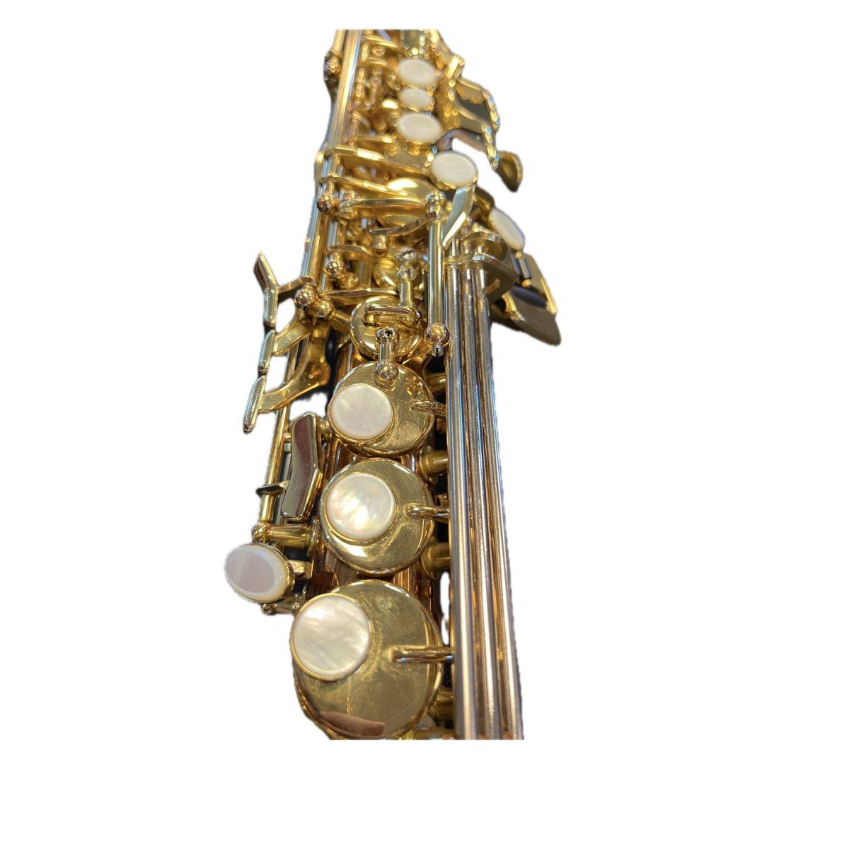 Schagerl S-2LB-CN Superior Pro Sax Soprano S/N 943335
