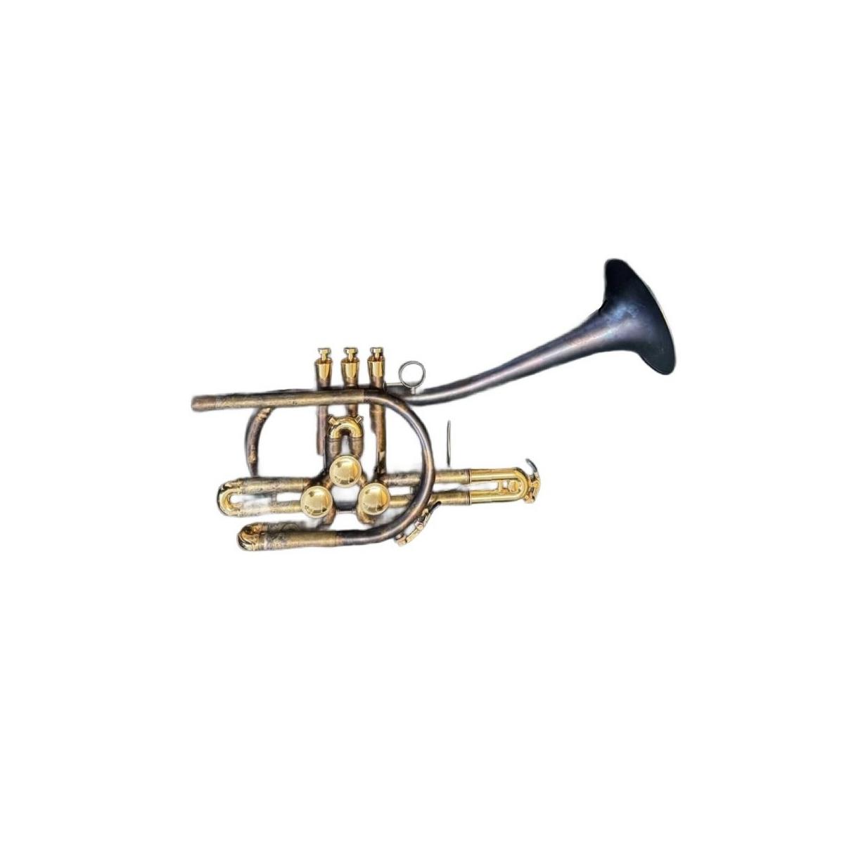 SCHAGERL RAWENI TROMBA IN Bb VINTAGE MATT SCY13403