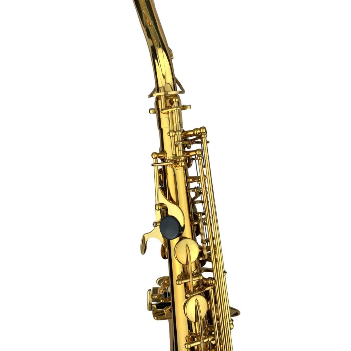 CIGALINI AS-ST Start Kit Sax Alto con Leggio e Supporto