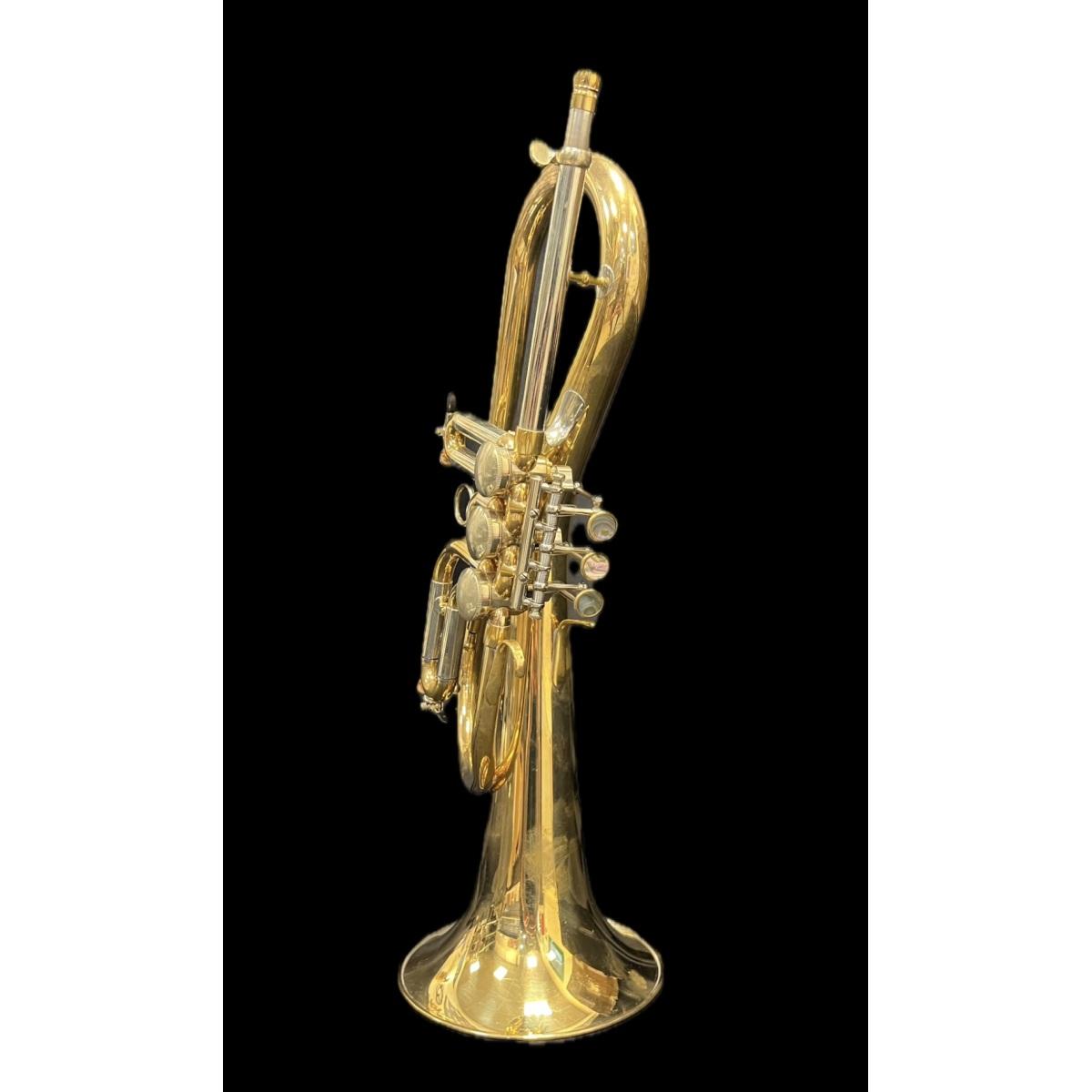 Schagerl flicorno soprano killerking z sn scx 13392 raw brass