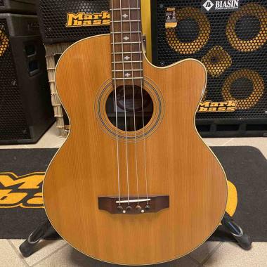 Landola basso acustico elettrificato