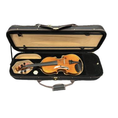 Master luthiers r-vga01 violino 3/4 di liuteria