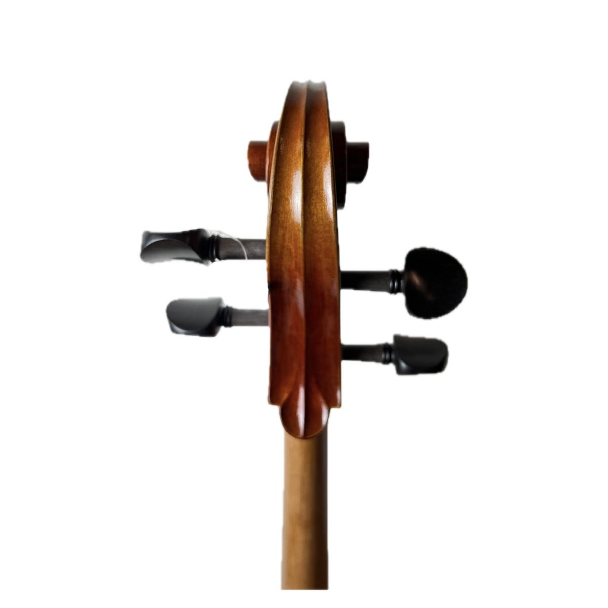 Master luthiers montalbano violoncello 4/4 massello