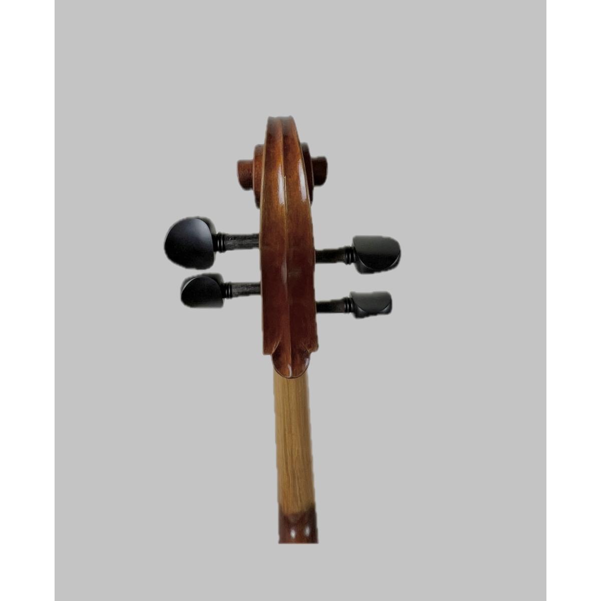 Master luthiers c.farina violoncello 4/4 massello