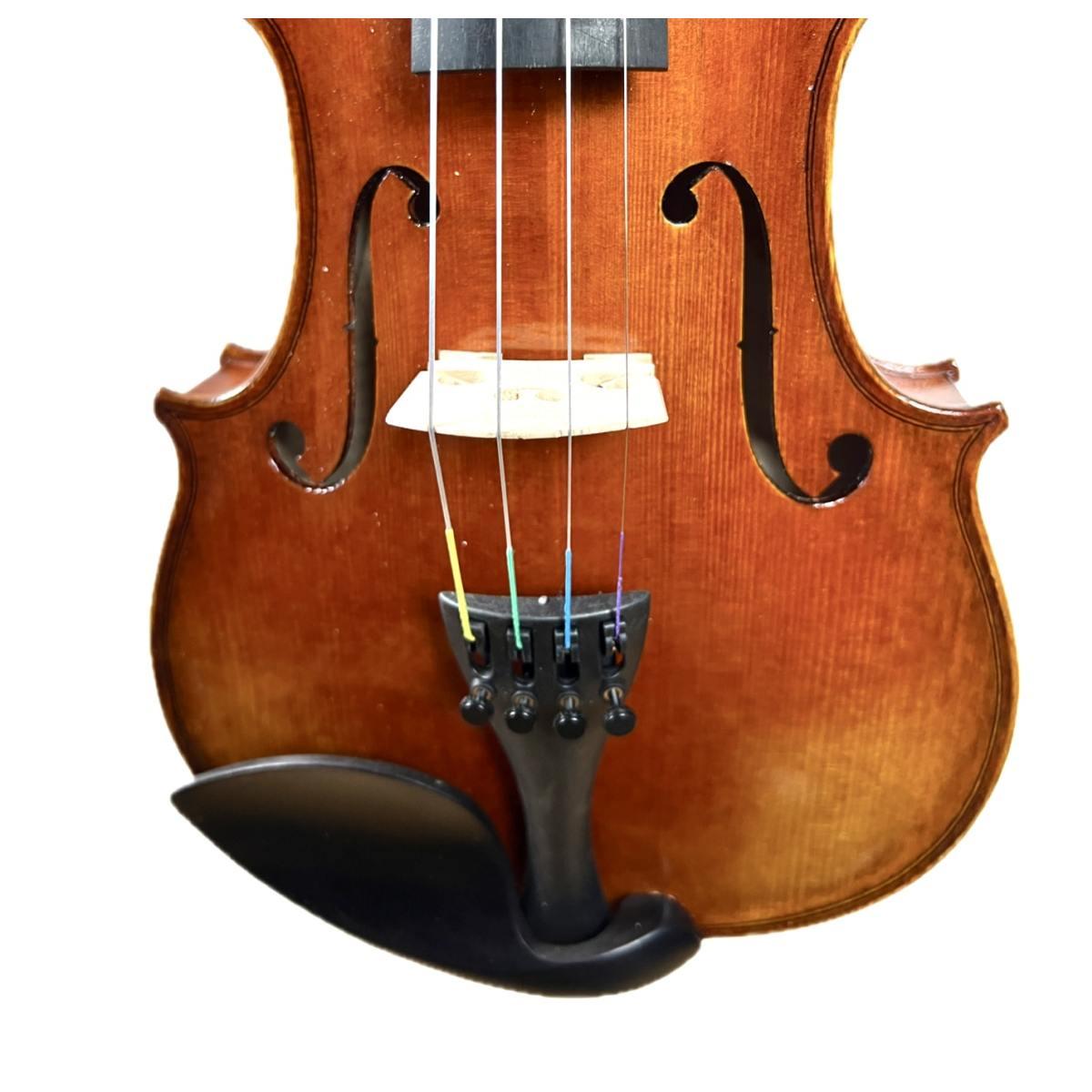 PLC MARINI VIOLINO 4/4 completo di custodia e arco