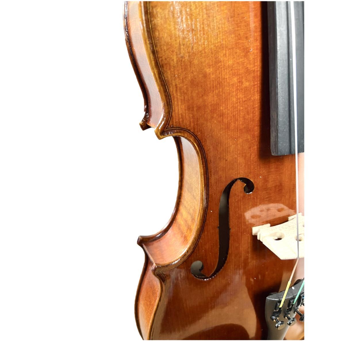 PLC MARINI VIOLINO 4/4 completo di custodia e arco