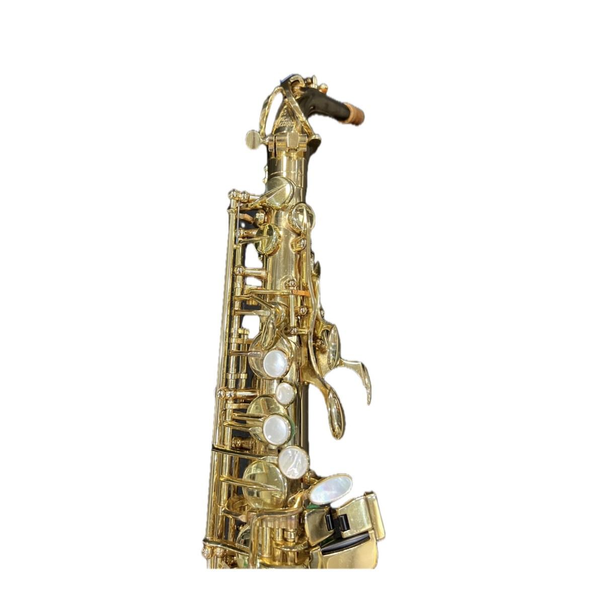 Selmer sa80ii sax alto laccato - usato