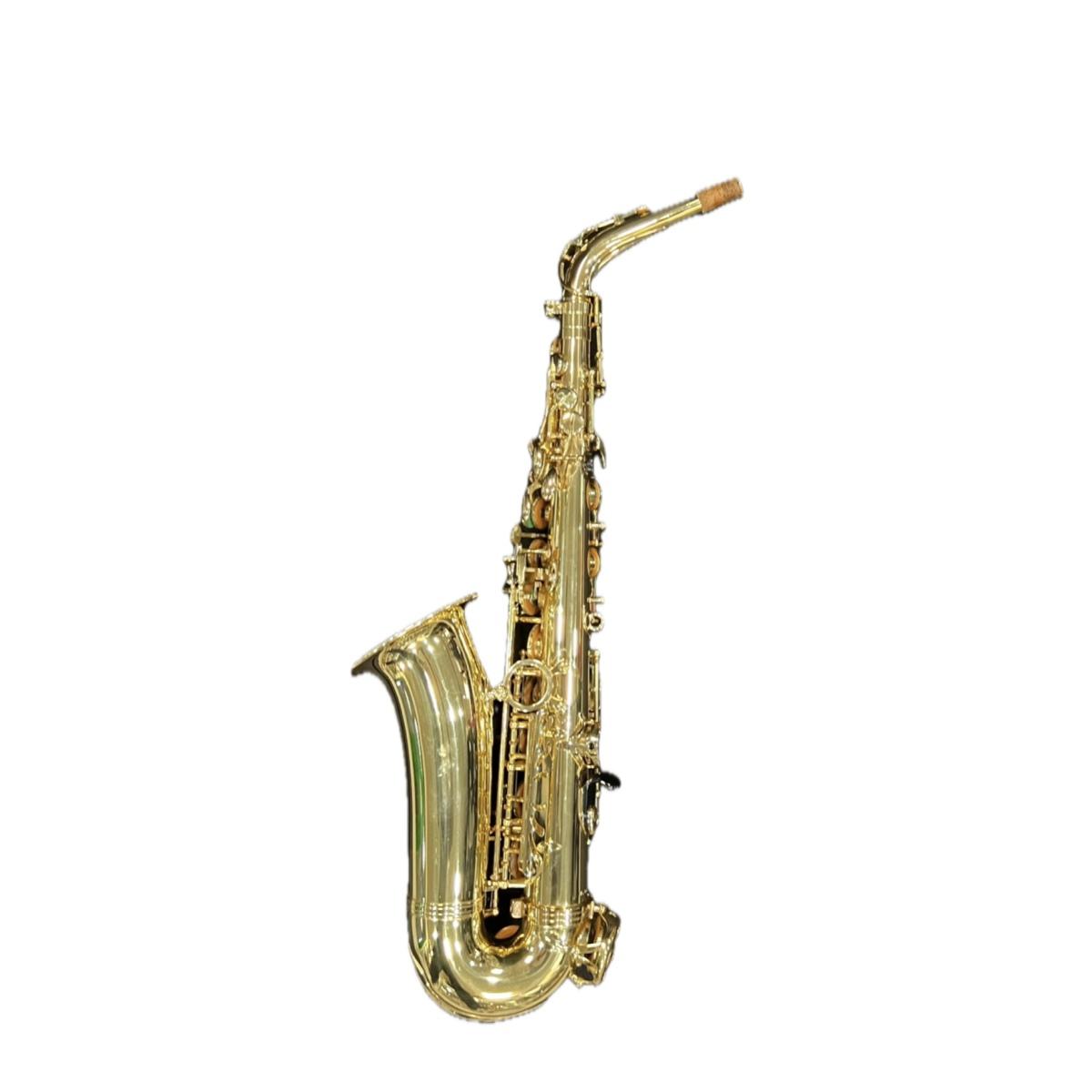 Selmer sa80ii sax alto laccato - usato