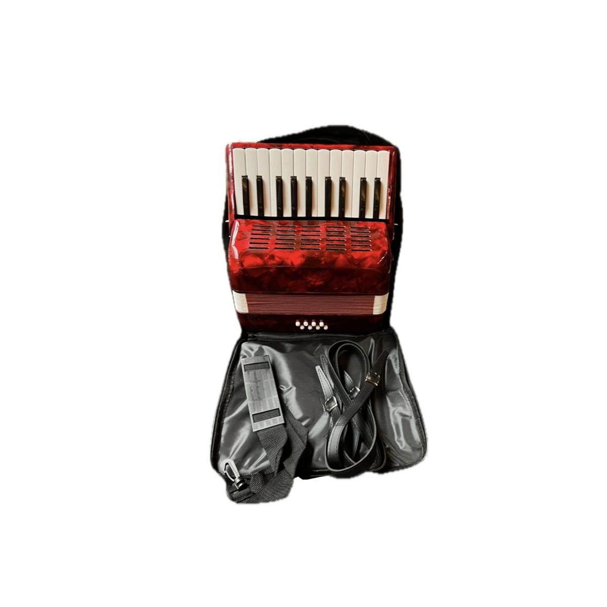 Classic student fisarmonica per bambini 8 bassi 22 note